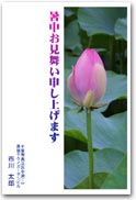 暑中お見舞いバリエーション1