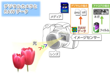 デジタルカメラとRAWデータ