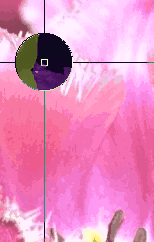 m[}ygpĂƂ
