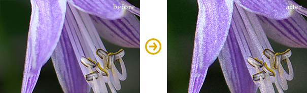 Sample: Add Noise in Color Photography