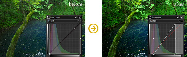 Sample: Automatic Level Correction