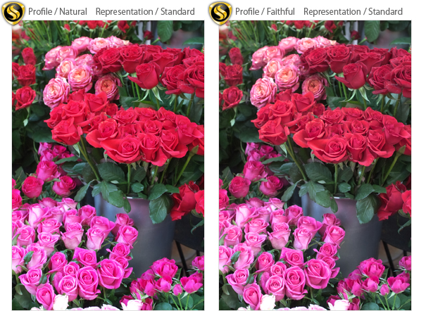 Comparison of natural and faithful