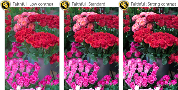 Comparison of changes in tone.
