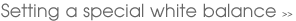 Setting a special white balance