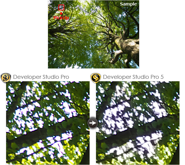 Occur around the fringes of tree branches and leaves.