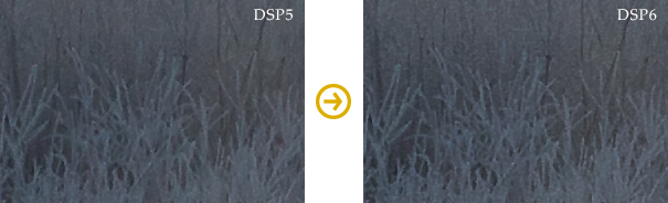 Sample: Improved Maintenance Level of Outlines during Noise Reduction