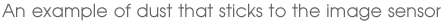 An example of dust that sticks to the image sensor