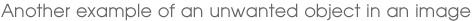 Another example of an unwanted object in an image