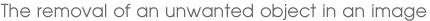 The removal of an unwanted object in an image