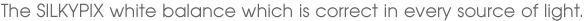 The SILKYPIX white balance which is correct in every source of light.