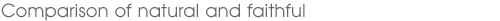 Comparison of natural and faithful