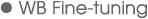 WB Fine-tuning