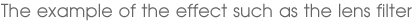 The example of the effect such as the lens filter