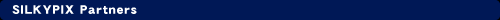 DS Partners