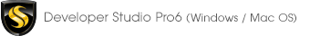 Developer Studio Pro6