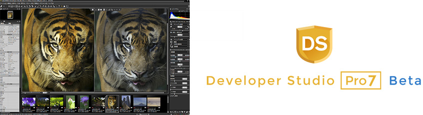 Developer Studio Pro7 Beta