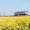 Railway : 0019
