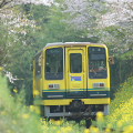 Railway : 0076
