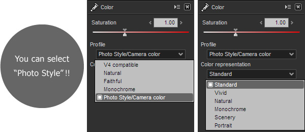 You can select "Photo Style"