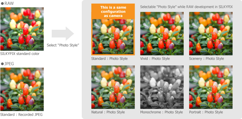 Selectable Photo Style while RAW development in SILKYPIX