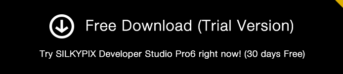 Free Download (Trial Version)