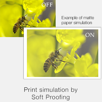 Displaying Printing Warnings (Soft Proof)