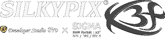 SILKYPIX Developer Studio Pro  SIGMA