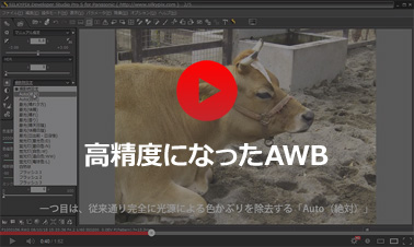 高精度になったオートホワイトバランス（AWB）