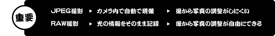 RAW撮影とJPEG撮影の違いと特徴