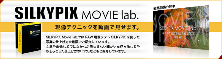 SILKYPIX Movie lab.:gtWJ
