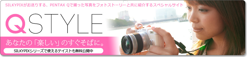Q-STYLE