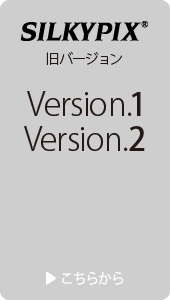 Developer Studio 1.0/2.0のFAQ