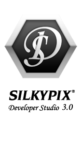 Developer Studio 3.0