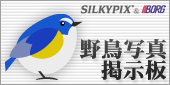SILKYPIX&BORG���݃T�C�g�w�쒹�ʐ^�f���x