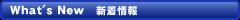 �ŐV���