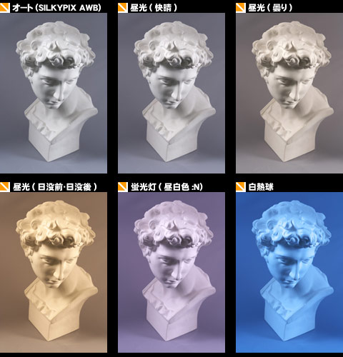 Xg{bNXɂ钲
