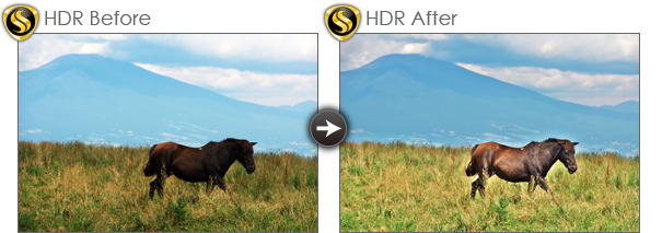 HDR作例：動体HDR