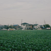 「シネフィルム」 70'sテイスト