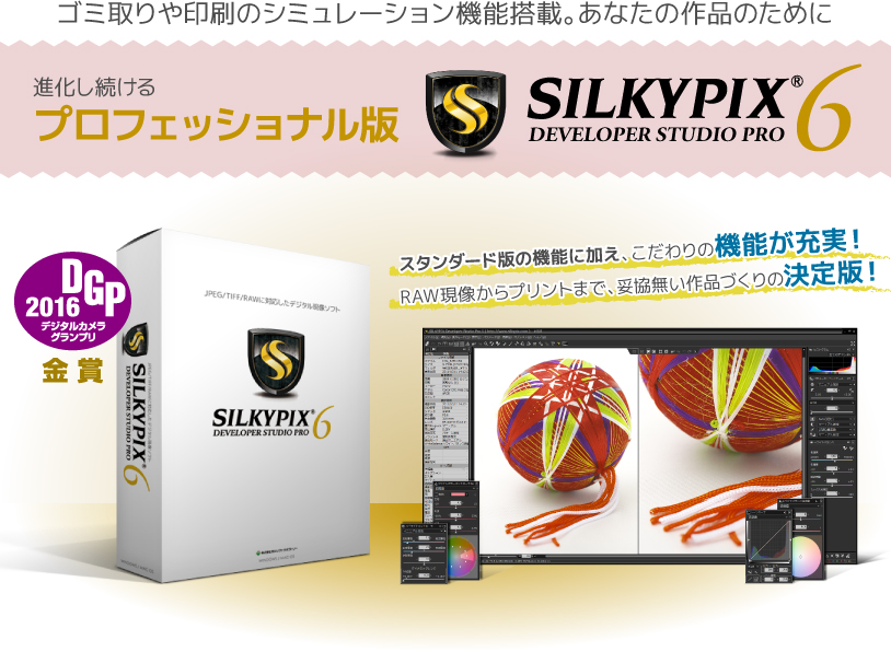 ivtFbVi SILKYPIX Developer Studio Pro6