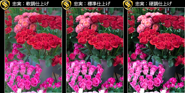 uvg[ύXɂdグ