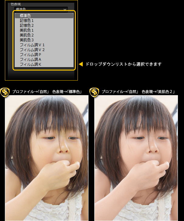 F\gFh̉