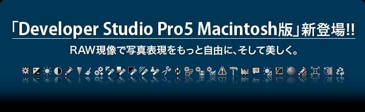 Developer Studio Pro5 Macintosh�� �V�o��!!