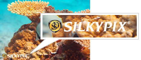 SILKYPIX Developer Studio WebTCg͂炩