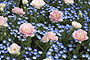 photo_001