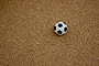 photo_006