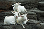 photo_009