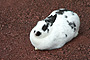 photo_010