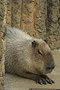 photo_011