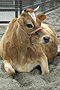 photo_012