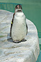 photo_013